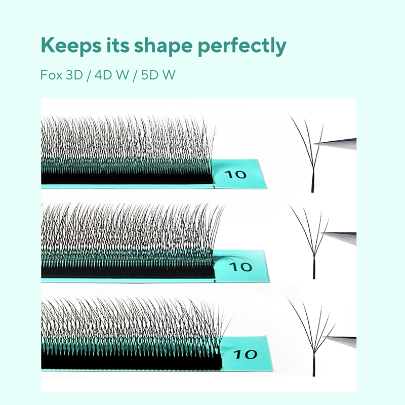 DIYDAY Foxy W-förmige 3D 4D 5D – Eyelash Extension Volume Cat Eye Bewertung und Preis