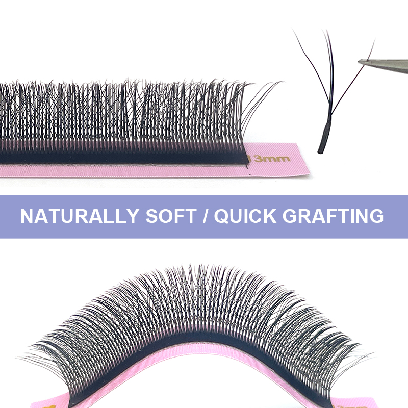 Neue Fairy 3D dicke W-Form Eas – Eyelash Extension Y Shape Bewertung und Preis