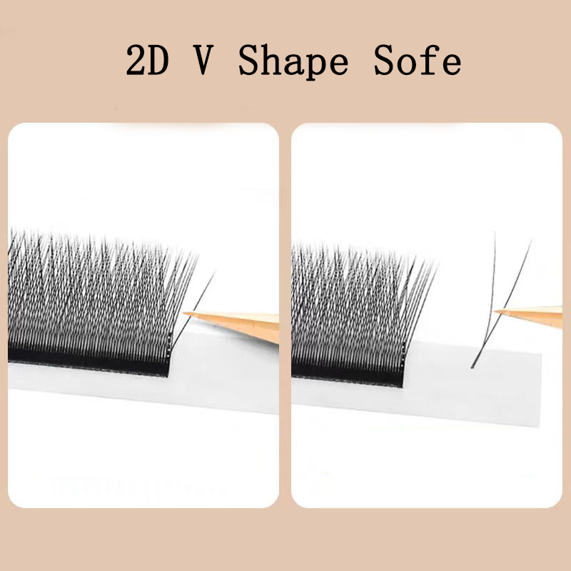 MARIA 2D Y-Form Wimpern Hand P – Eyelash Extension Y Shape Bewertung und Preis